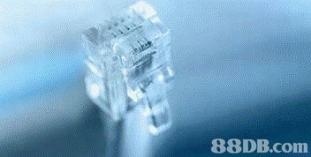 软件生态系统的多样化发展与应用